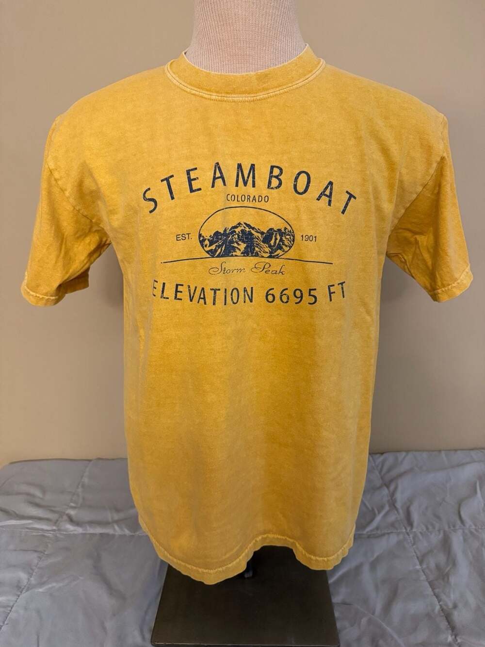 Gildan Ultra Cotton Heavyweight Steamboat Colorado Storm Peak T-Shirt Medium